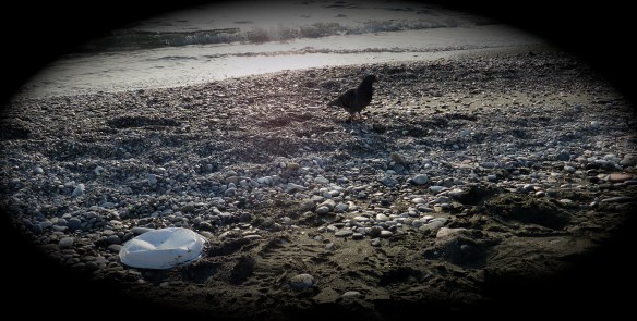 ExpérimenSAble - Témoignages