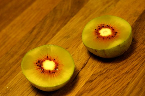 red kiwi - photo ©aroline ©hampion