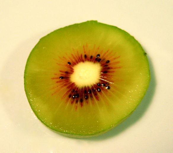 red kiwi - photo ©aroline ©hampion