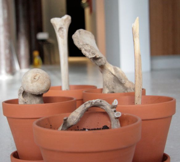 Jota Castro / elainelevy project - photo ©aroline ©hampion