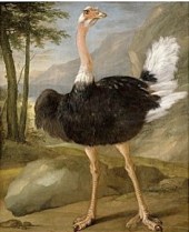 Capture-d-ecran-2012-03-21-a-09.31.13